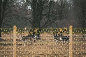 drótfonat,trapézháló,vadháló,oszlop,kerítésépítés