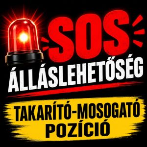  SOS ÁLLÁSHIRDETÉS – AZONNALI KEZDÉSSEL!