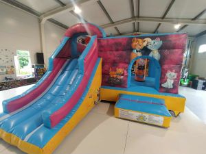 Eladó Cicás Csúszdás Ugráló