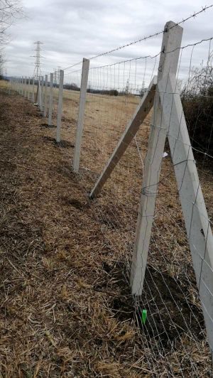 Kerítés építés!!! Drótfonat, drótháló, vadháló, oszlop