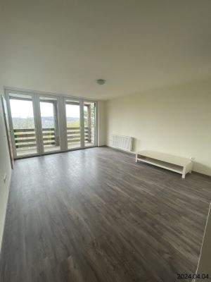 XII. ker Svábhegy lakás kiadó