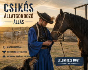 Állatgondoó - csikós