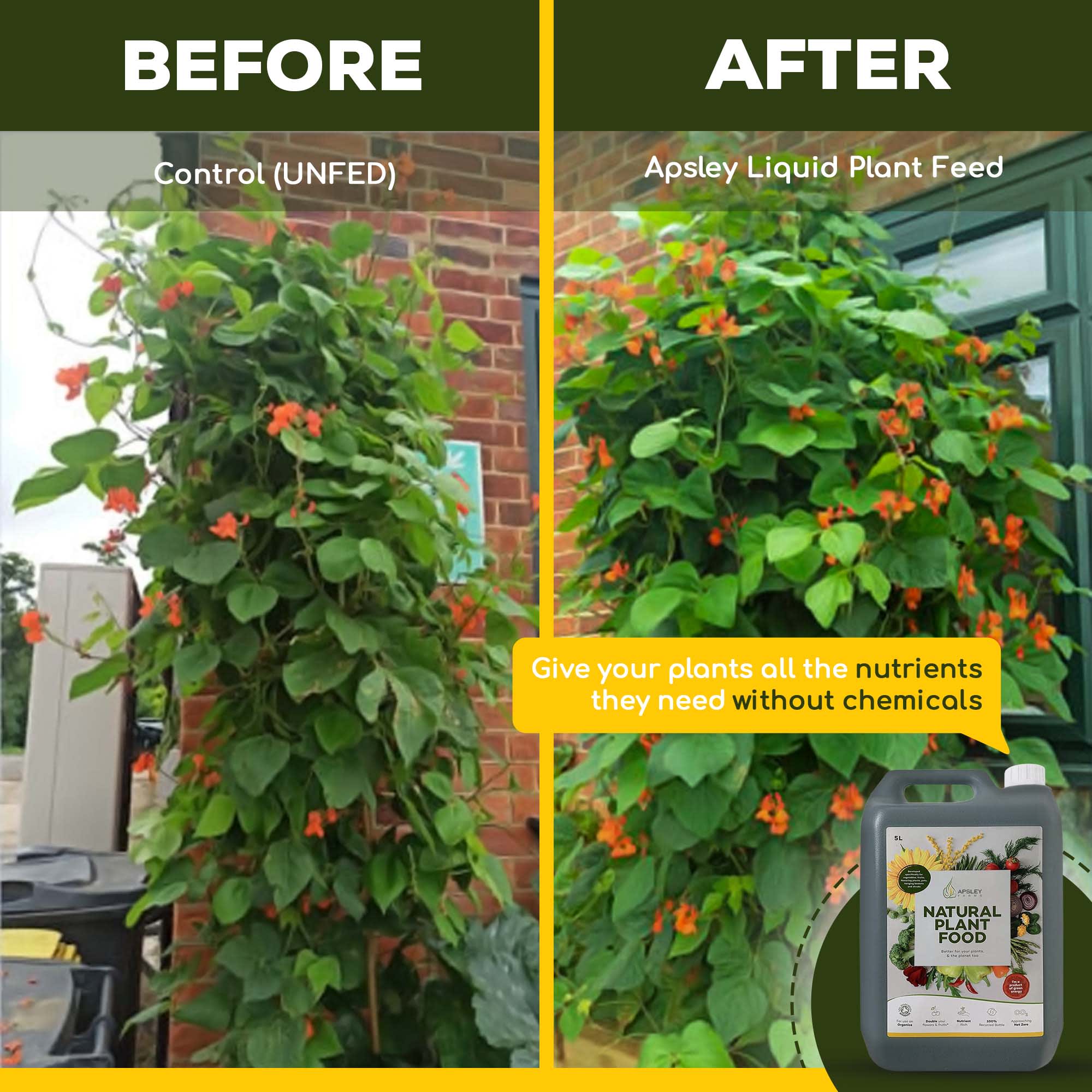 Natural Liquid Plant Food 5L Apsley Farms 10 and 5 litre Concentrate