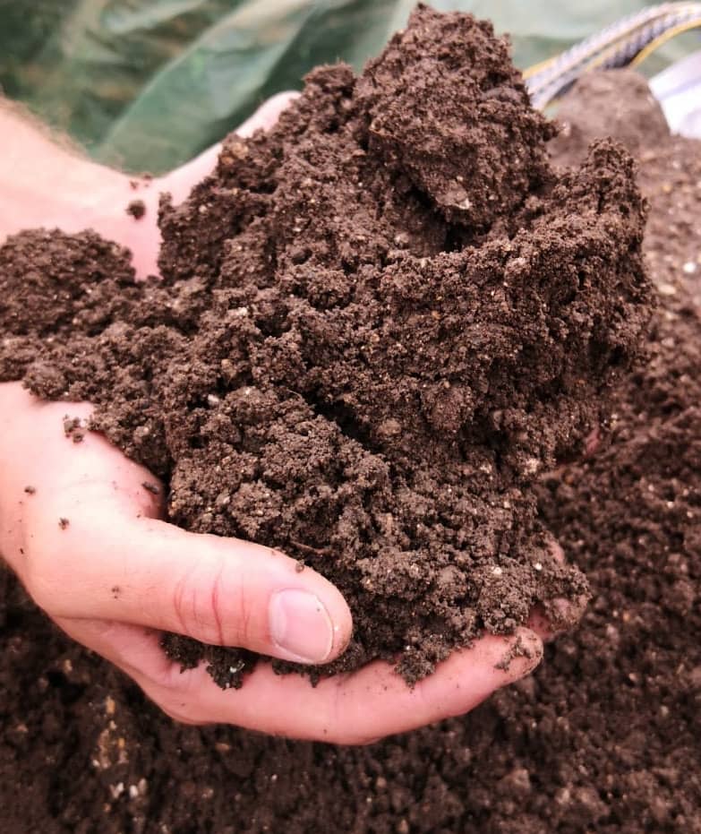 Multi Purpose Top Soil - Image 2