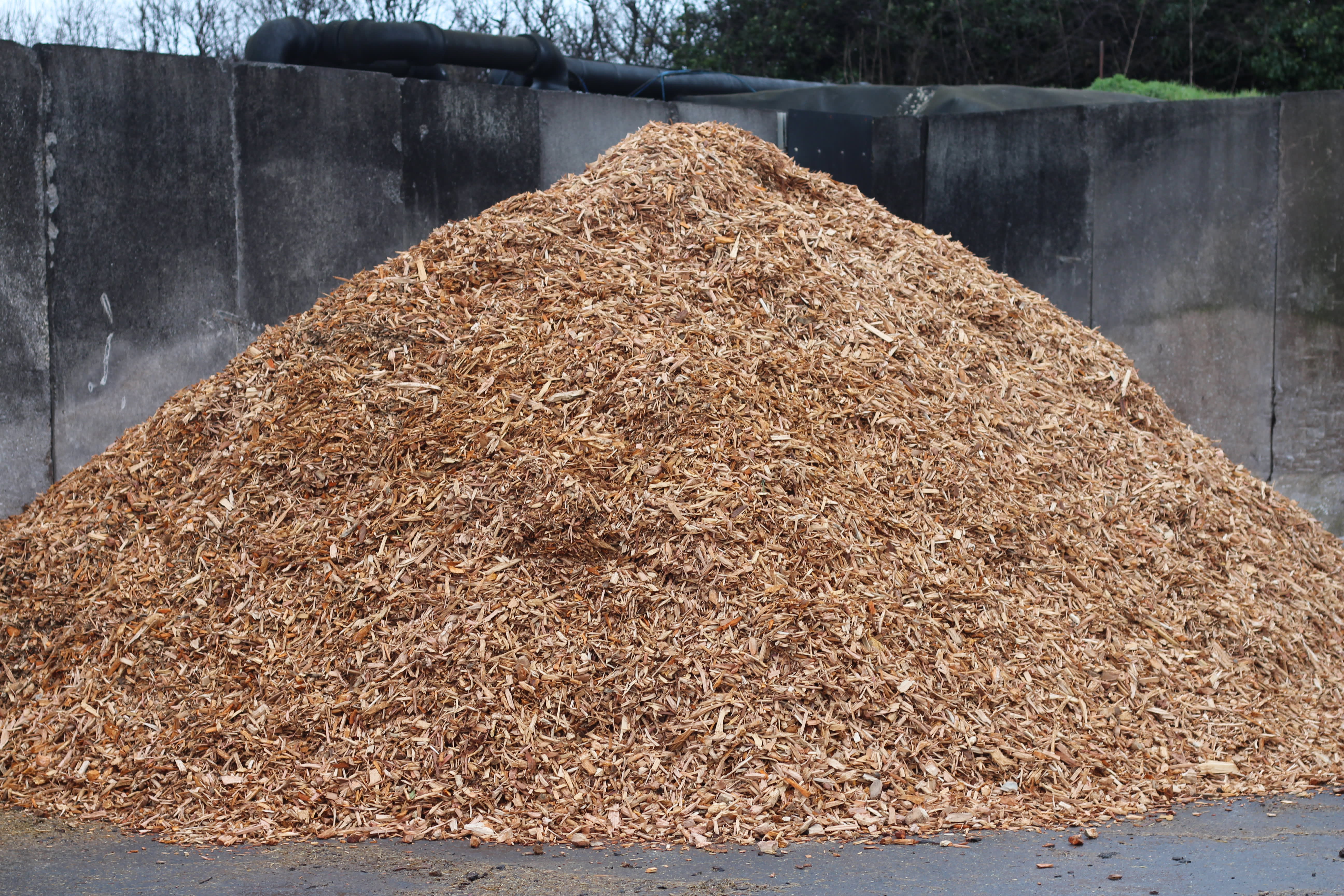 Woodchip - Image 2