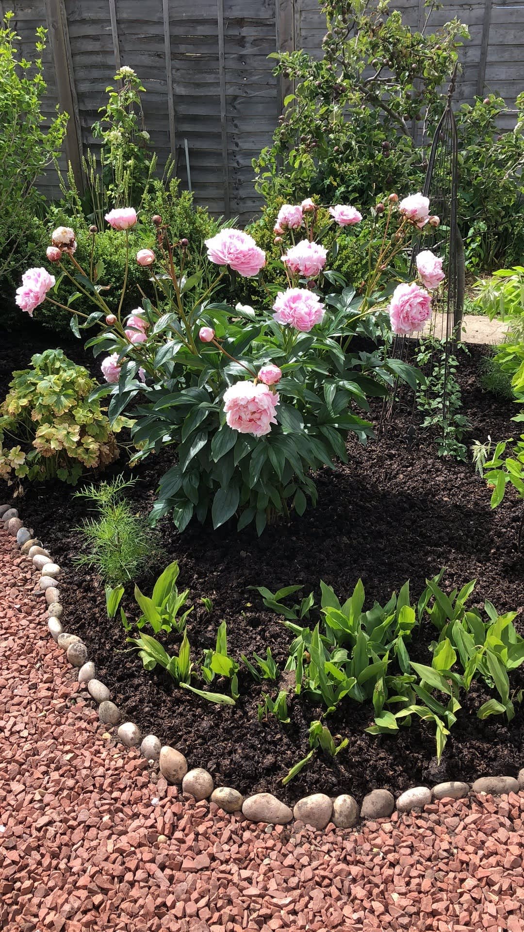Summer Top Dressing (aged/matured Mulch) - Image 3