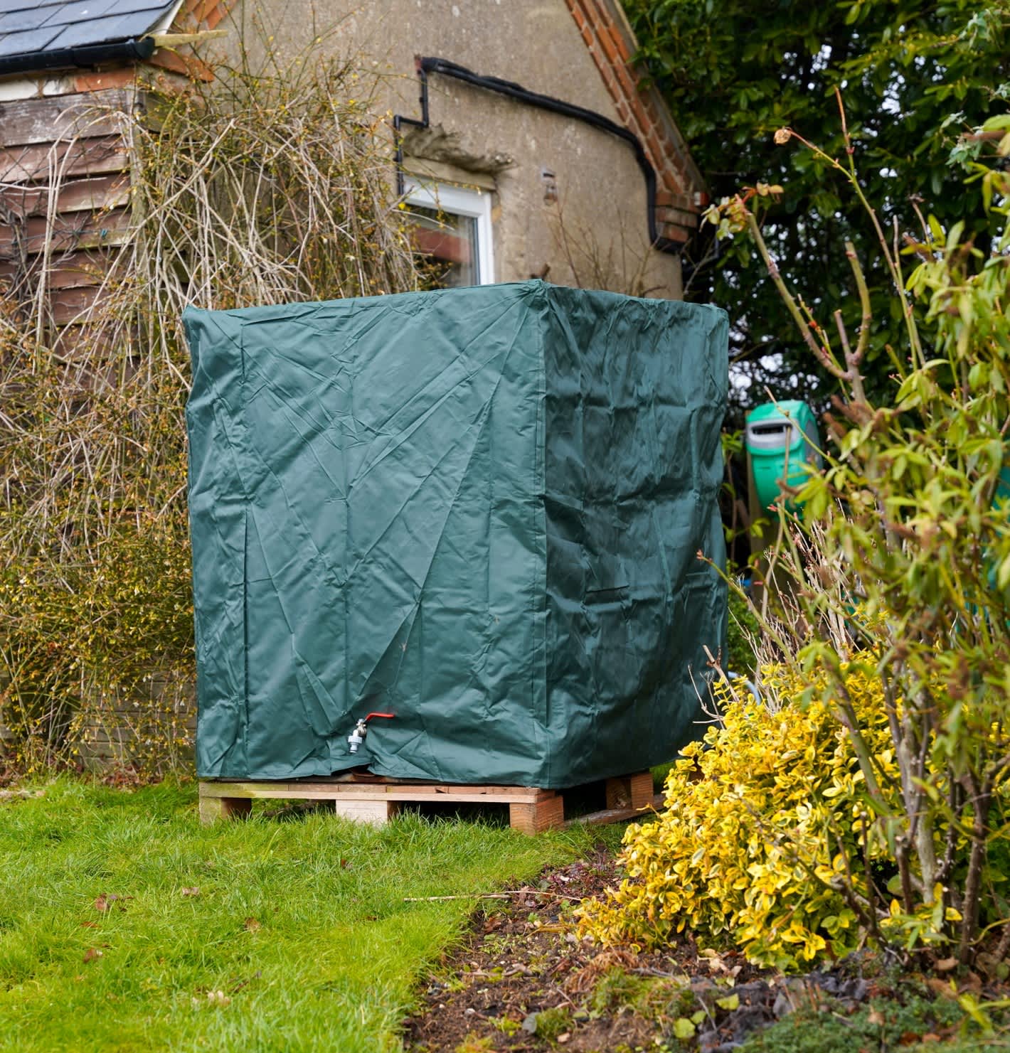 Natural Plant Food 1000L IBC - Image 3