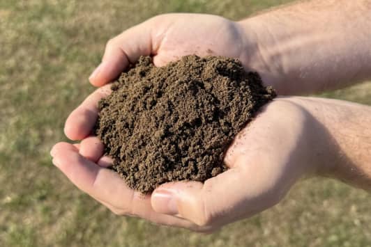 Premium Screened Top soil