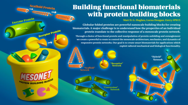 Building Functional Biomaterials with Protein Building Blocks