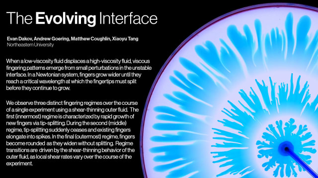 The Evolving Interface | Evan Dakov, Andrew Goering, Matthew Coughlin, Xiaoyu Tang (Northeastern University)