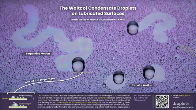 The Waltz of Condensate Droplets on Lubricated Surfaces | Fauzia Wardani - KAUST (fauzia.fahri@kaust.edu.sa), Marcus Lin (marcus.lin@kaust.edu.sa), Dan Daniel (daniel.daniel@kaust.edu.sa)