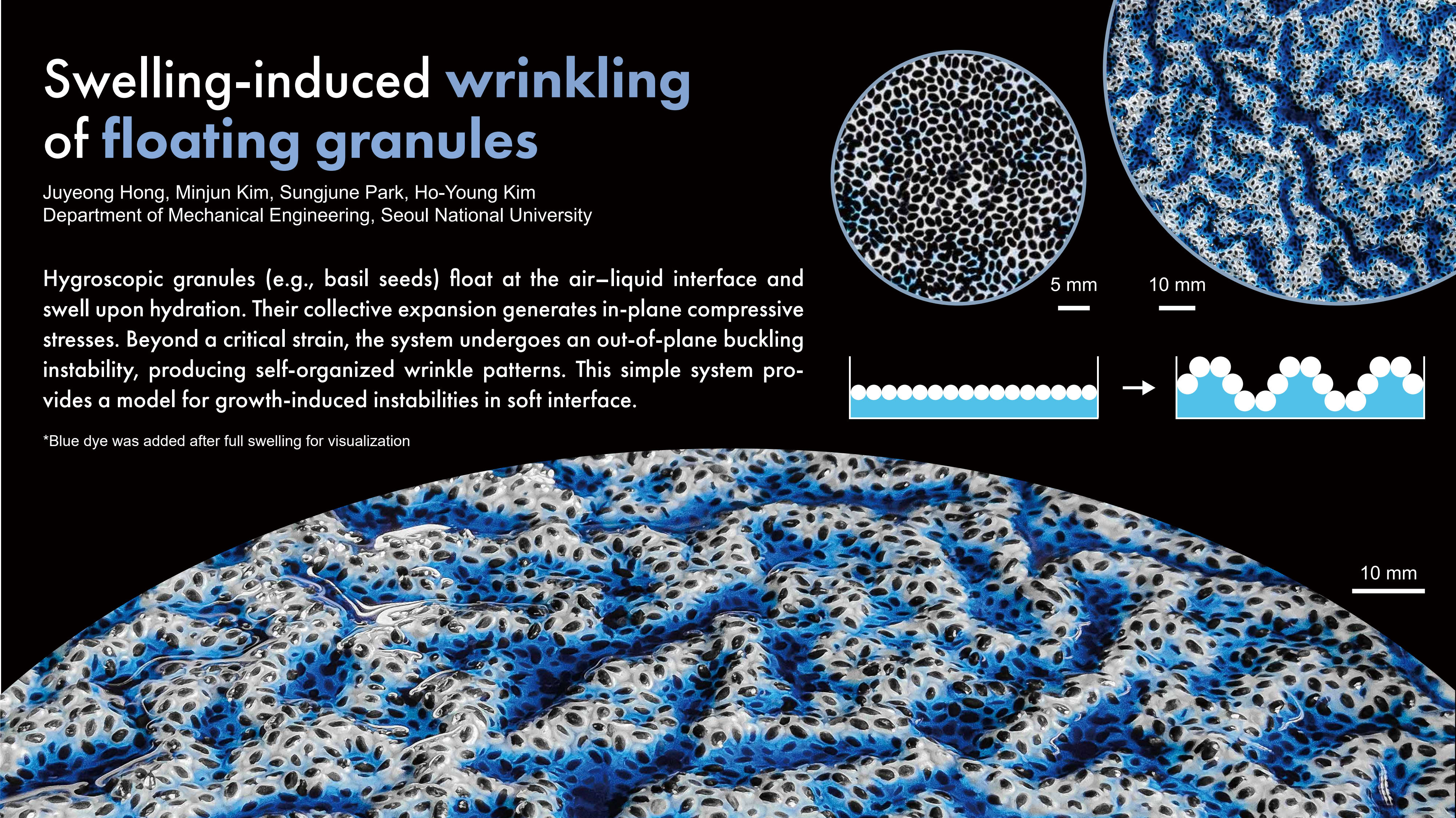 Swelling-induced wrinkling of floating granules | Juyeong Hong (Seoul National University)