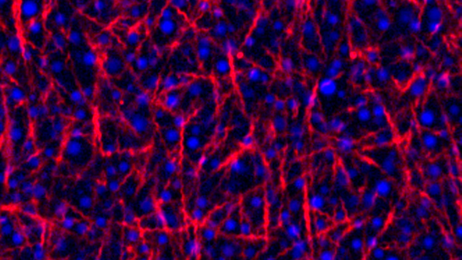 One way to Puncture the network | Jiyong Cheon, Georgia Tech, jcheon9@gatech.edu
