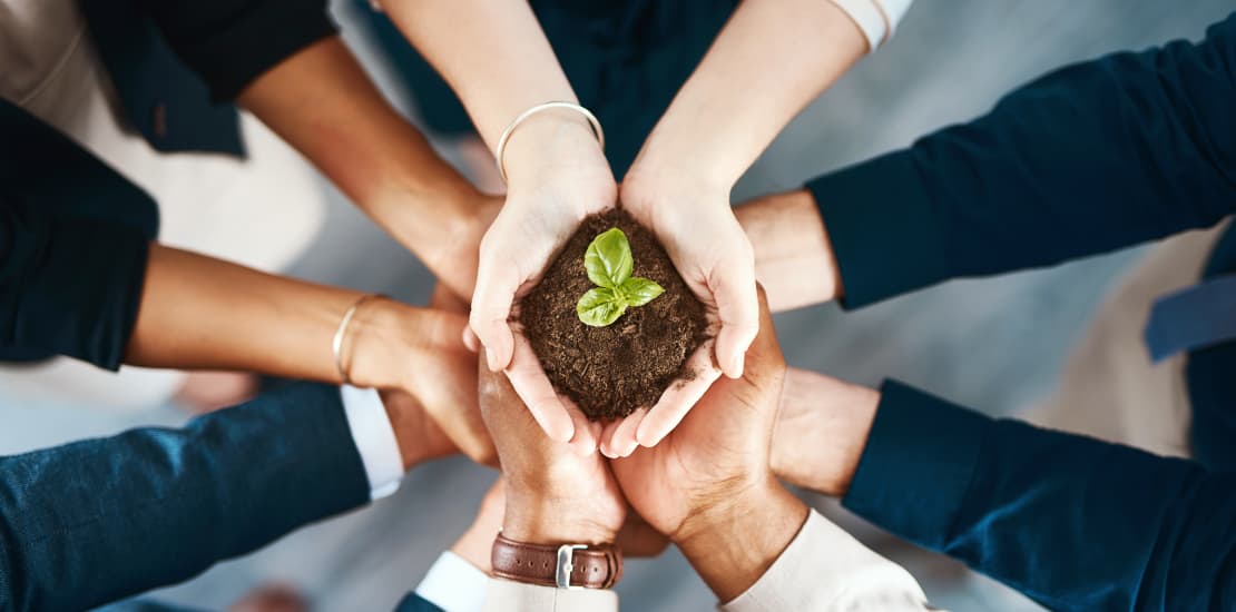 Is now the time for growth