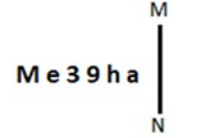 Screenshot 2025-05-28 110933.png