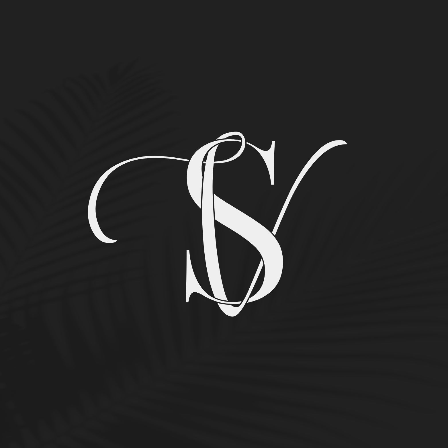 Vivvo Studio