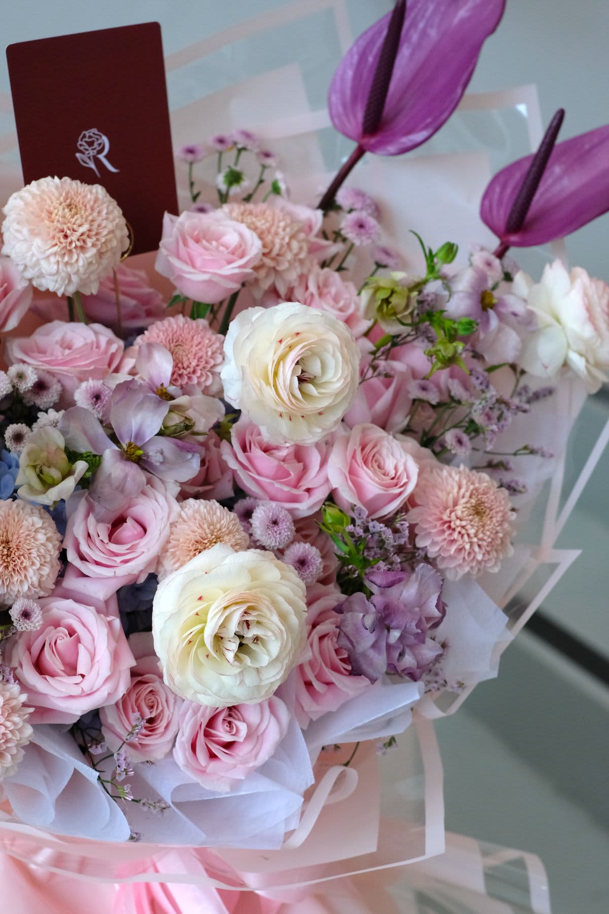 Afrilia Bloom - Thumbnail 2 - fresh