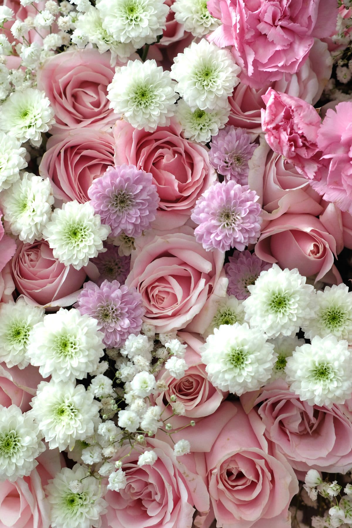 Aloura Fleur - Thumbnail 3 - fresh