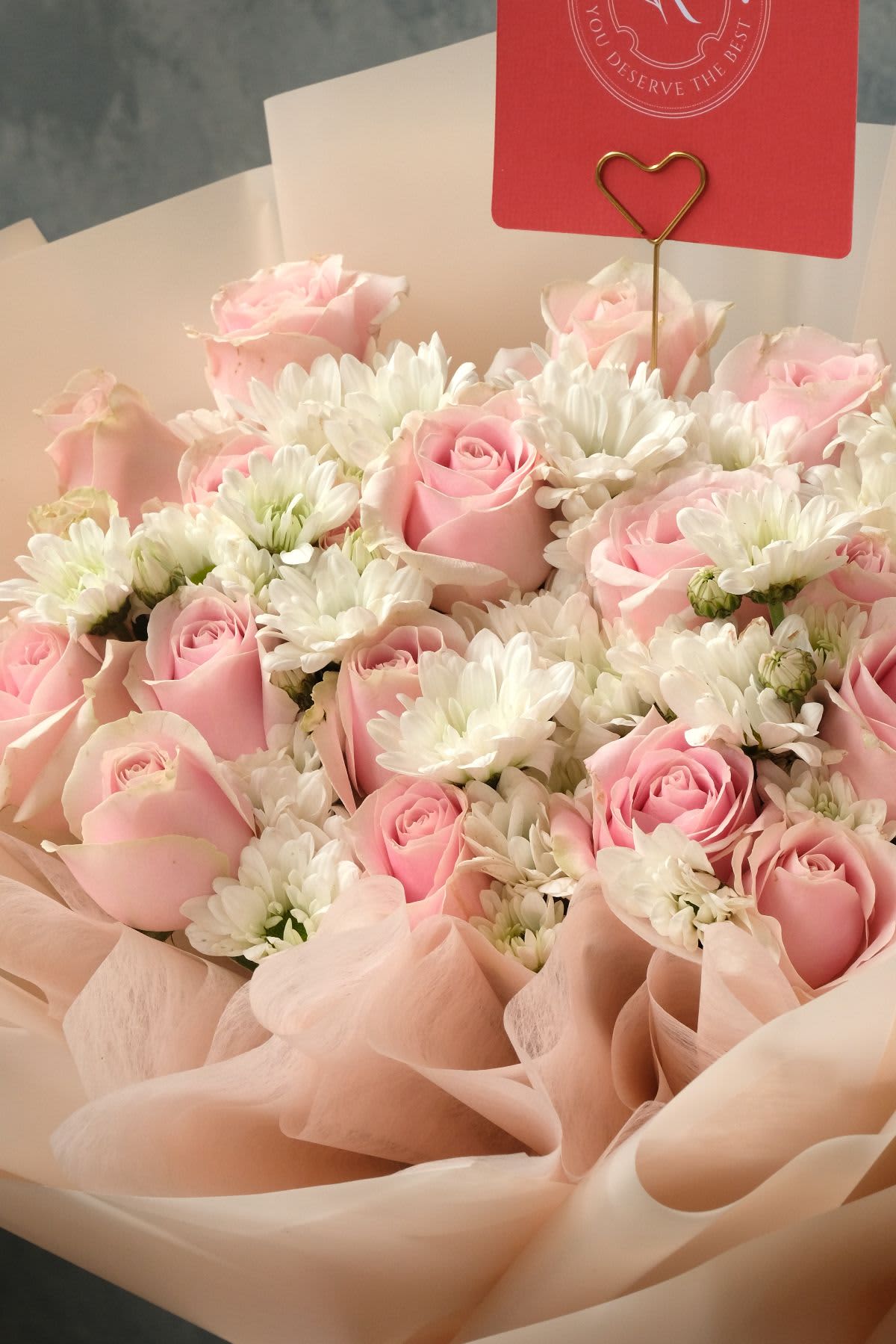Pink Rose Aster - Thumbnail 2 - basic