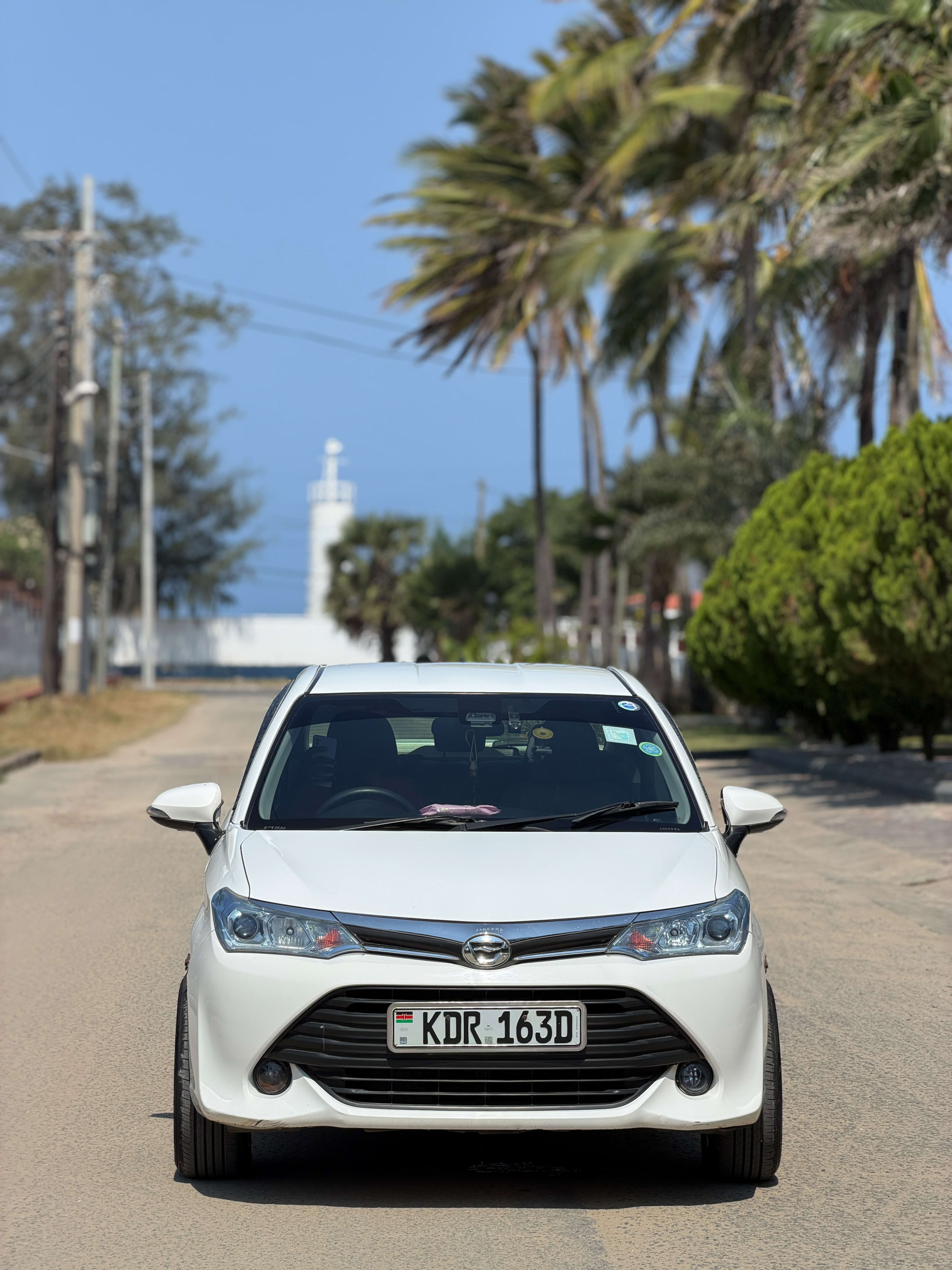 2017 Toyota  Axio photo 3