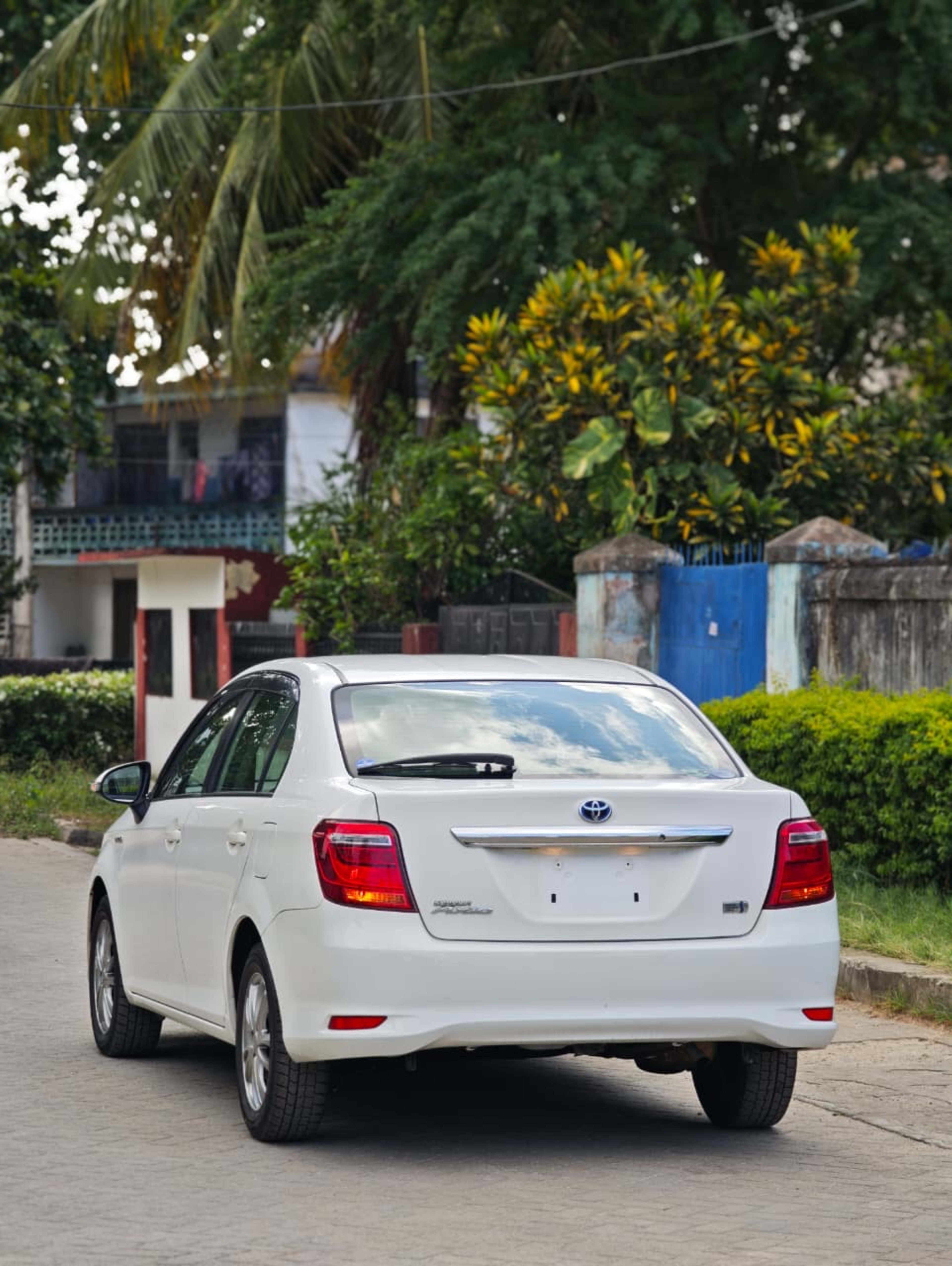 2019 Toyota  Axio photo 2