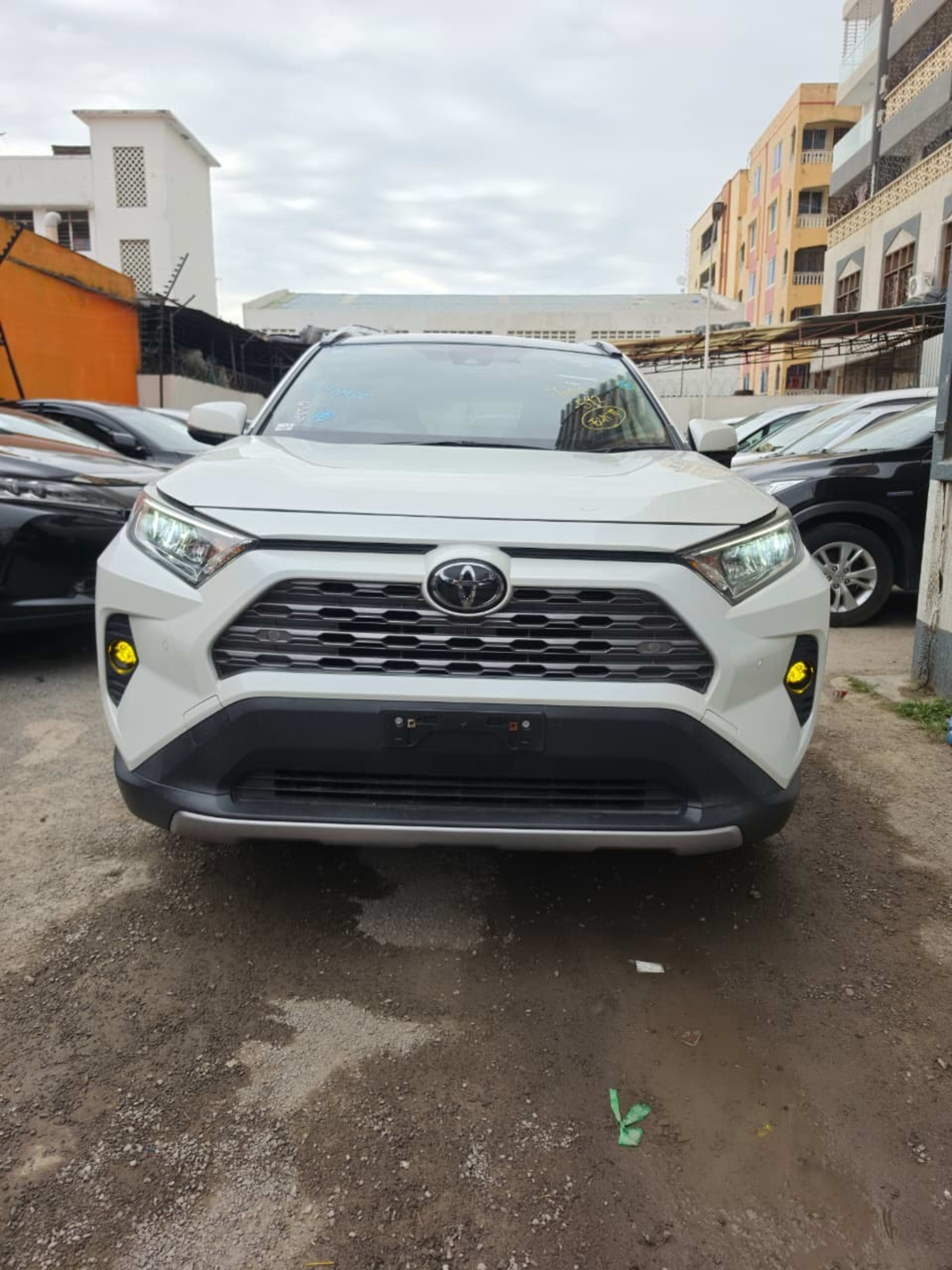 2019 Toyota  Rav4 photo 3