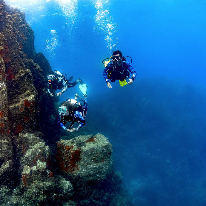 Equipement De Plongee Et De Snorkeling Pour Les Amoureux De L Ocean Explorez Avec Aqualung