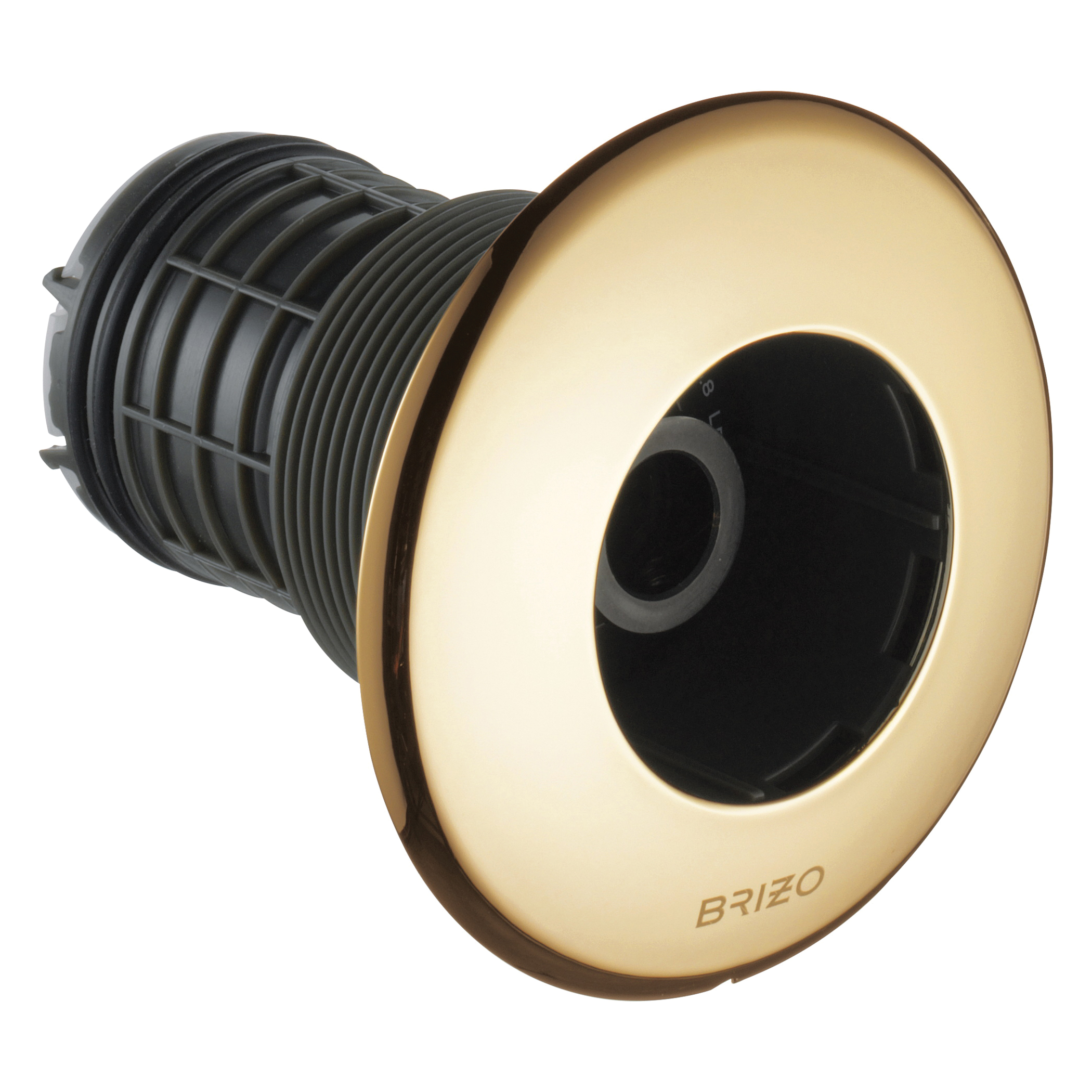 Aquifer Distribution Brizo T84613PG HydraChoice Max Max Body Spray