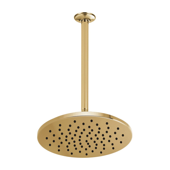 Aquifer Distribution Brizo 81392PG2.5 Raincan Shower Head, 2.5 gpm