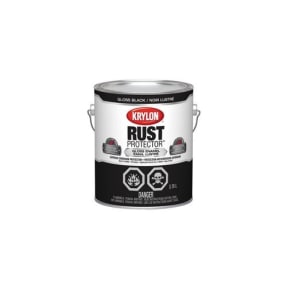 158655_1287_krylon_469010.jpg