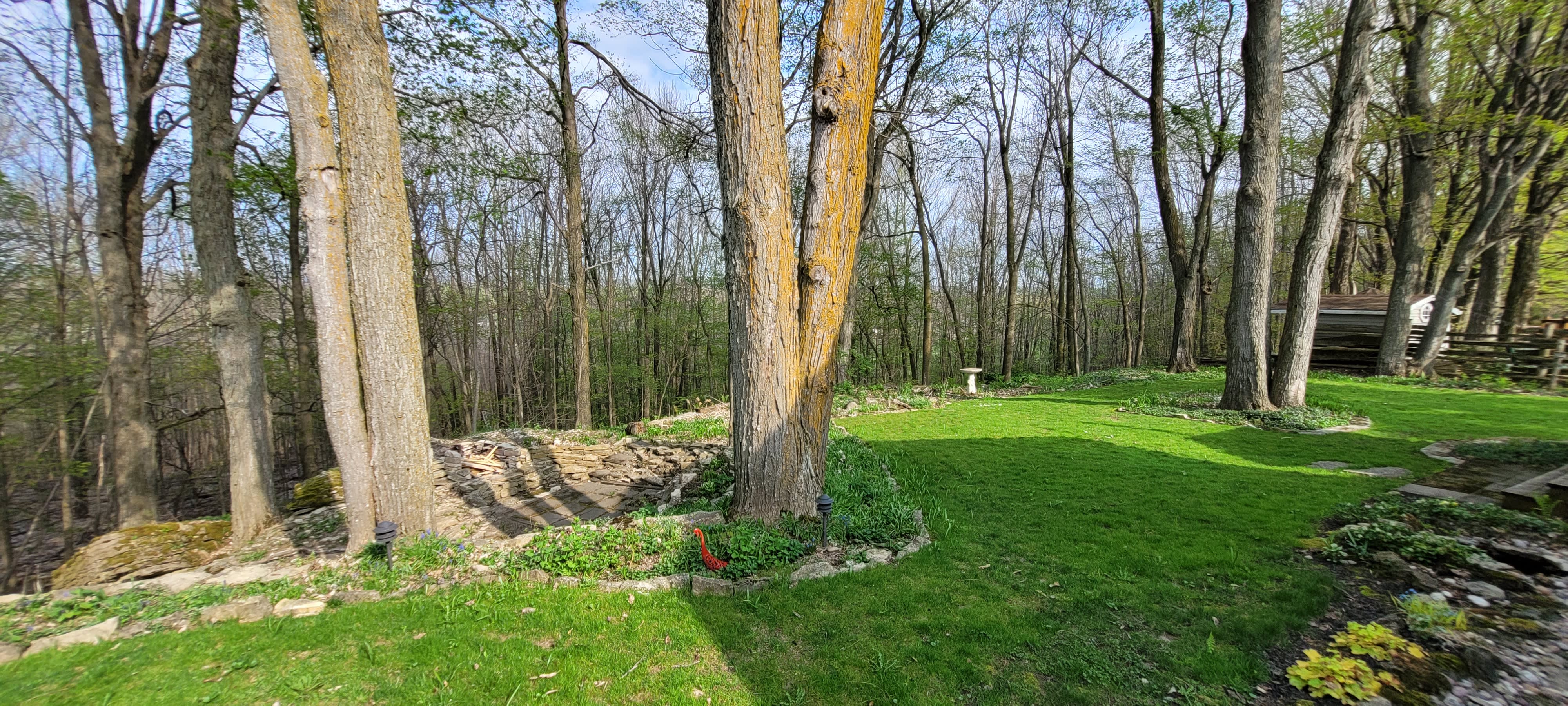 backyard with a view of the garden