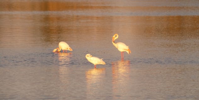 Parco Terramaini - https://www.flickr.com/photos/102619919@N03/16204842504/