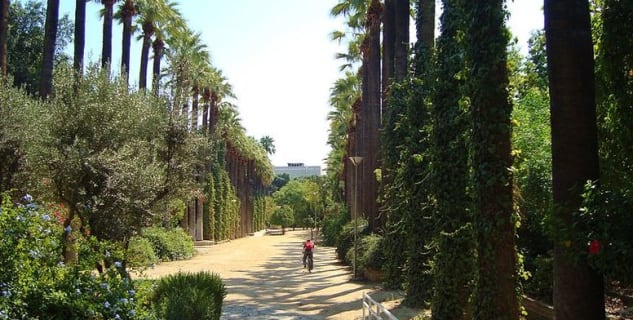 Obecní zahrady - http://commons.wikimedia.org/wiki/File:Nicosia_historical_Municipal_gardens_in_Republic_of_Cyprus.jpg