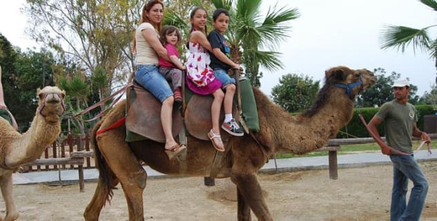 Camel Park Mazotos - http://www.camel-park.com/