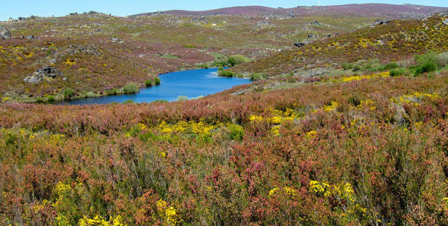 Parque Natural de Montesinho - http://commons.wikimedia.org/wiki/File:Parque_Natural_de_Montesinho_Porto_Furado_trail_(5733160672).jpg