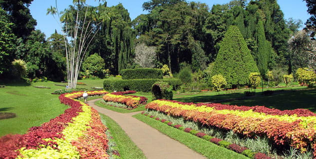 Botanická zahrada Paradeniya  - https://en.wikipedia.org/wiki/Royal_Botanical_Gardens,_Peradeniya#/media/File:Botanical_Garden_of_Peradeniya_03.jpg