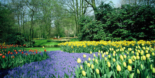 Keukenhof Gardens - https://www.flickr.com/photos/robertlylebolton/8072687349/