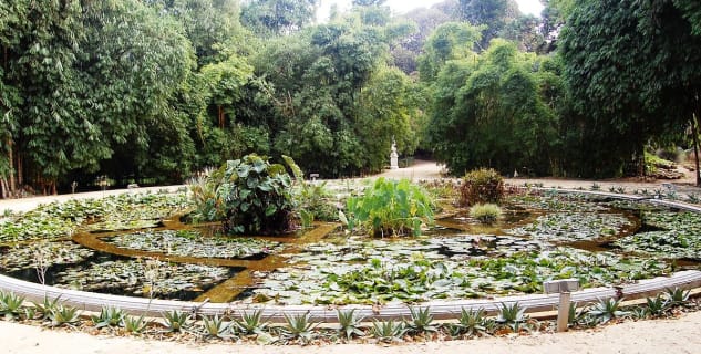 Orto Botanico di Palermo  - https://it.wikipedia.org/wiki/Orto_botanico_di_Palermo#/media/File:Aquarium01_Orto_botanico_Palermo.jpg