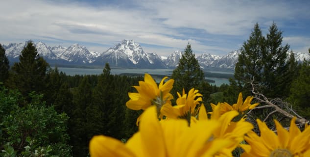 Jackson Lake - 