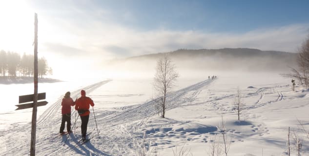 Nordmarka - https://www.flickr.com/photos/erlingba/5419084563/