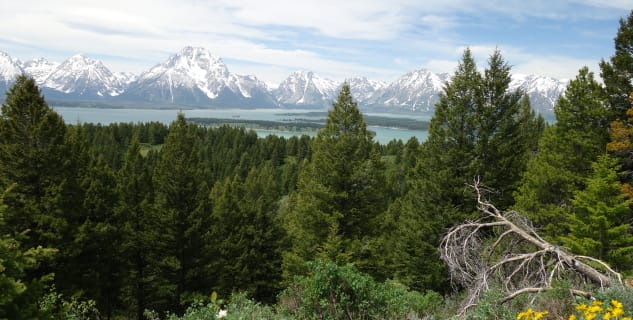 Grand Teton - 