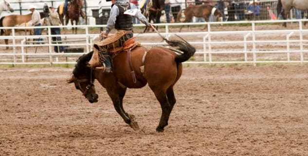 Frontier Days  - https://www.flickr.com/photos/ljguitar/923401911/