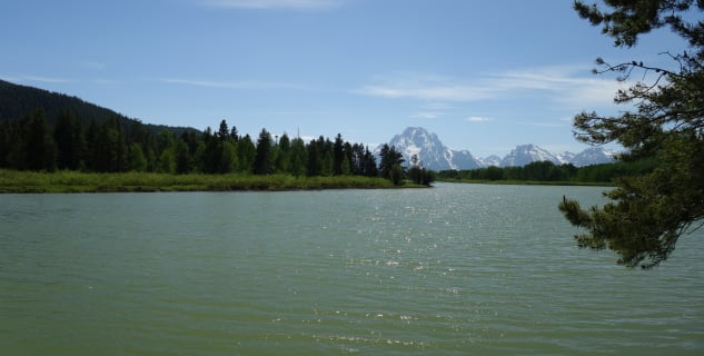 Oxbow Bend s Mt. Moran v pozadí - 