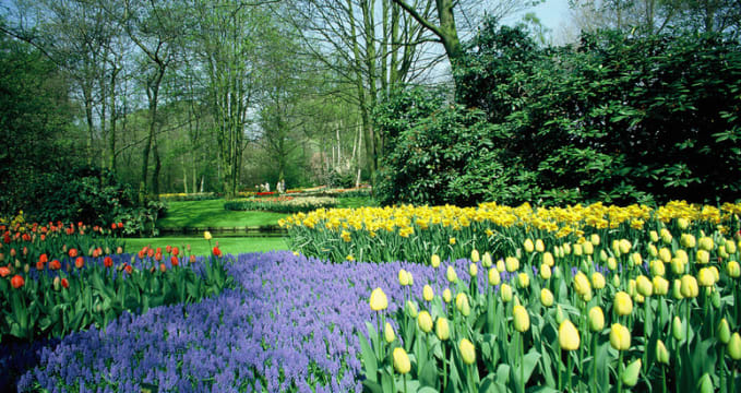 Keukenhof Gardens - https://www.flickr.com/photos/robertlylebolton/8072687349/