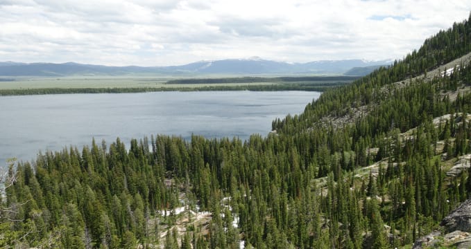 Jenny Lake - 