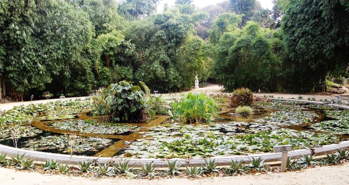 Orto Botanico di Palermo  - https://it.wikipedia.org/wiki/Orto_botanico_di_Palermo#/media/File:Aquarium01_Orto_botanico_Palermo.jpg