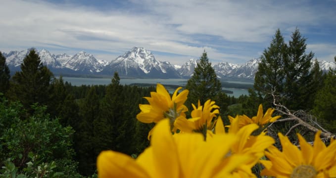 Jackson Lake - 