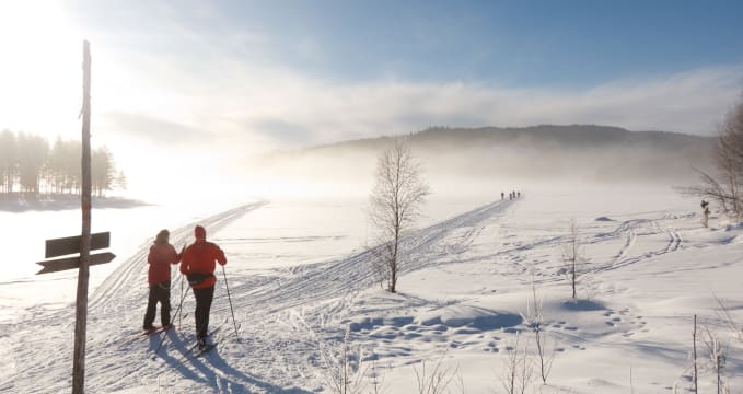 Nordmarka - https://www.flickr.com/photos/erlingba/5419084563/