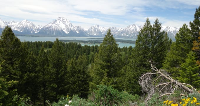 Grand Teton - 