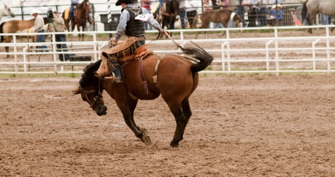 Frontier Days  - https://www.flickr.com/photos/ljguitar/923401911/